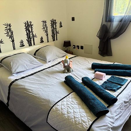 Maison Moderne Au Calme Avec Billard, Jacuzzi, Bain A Remous, Piscine, Babyfoot Labastide-du-Temple المظهر الخارجي الصورة
